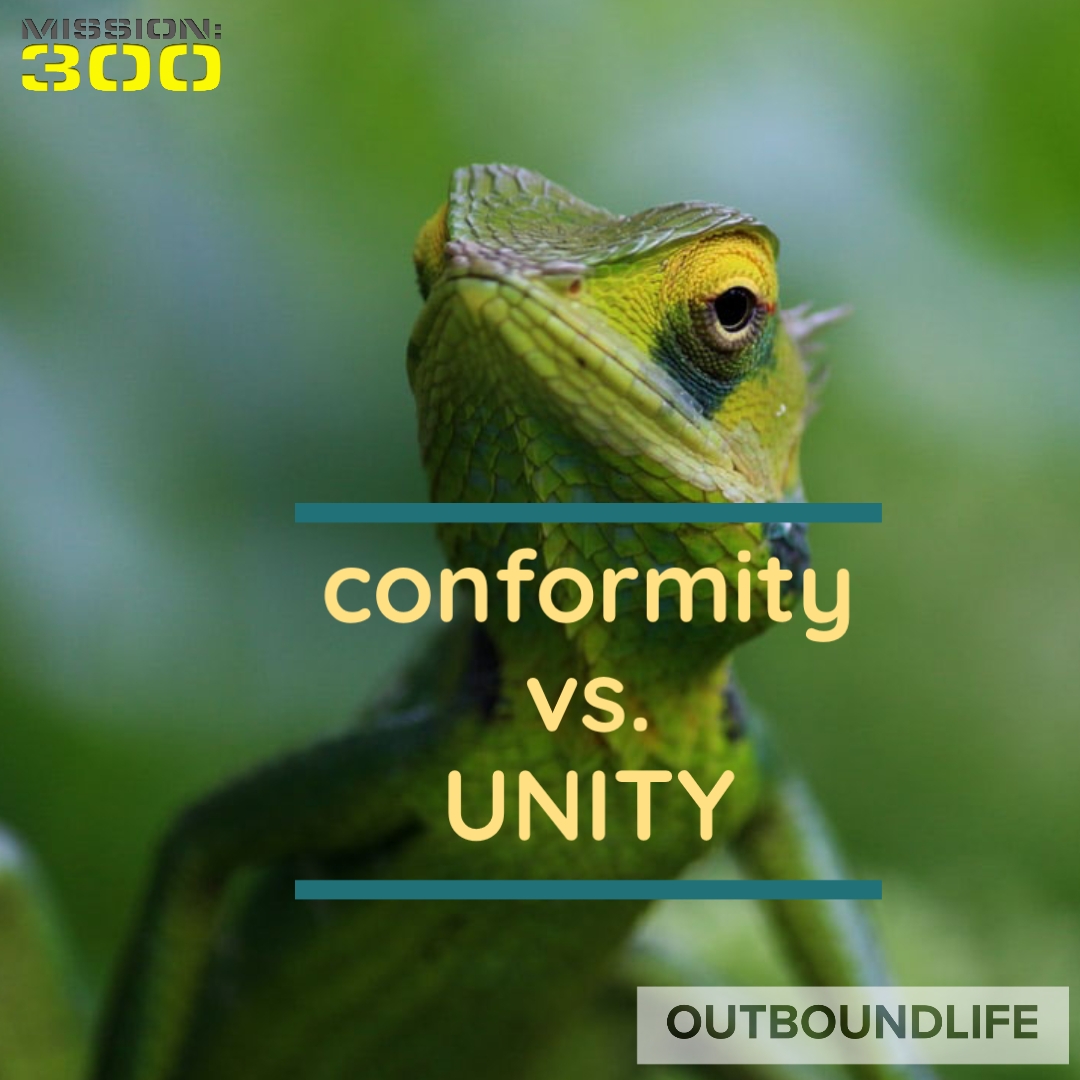 Difference between unity and conformity - Discussion