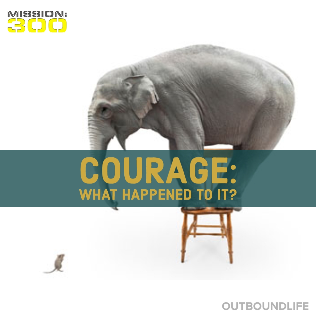 Courage - What happened to it