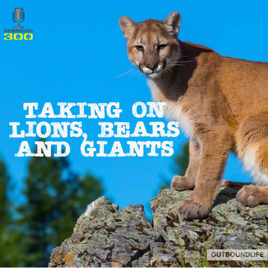 Taking on Lions, bears and giants