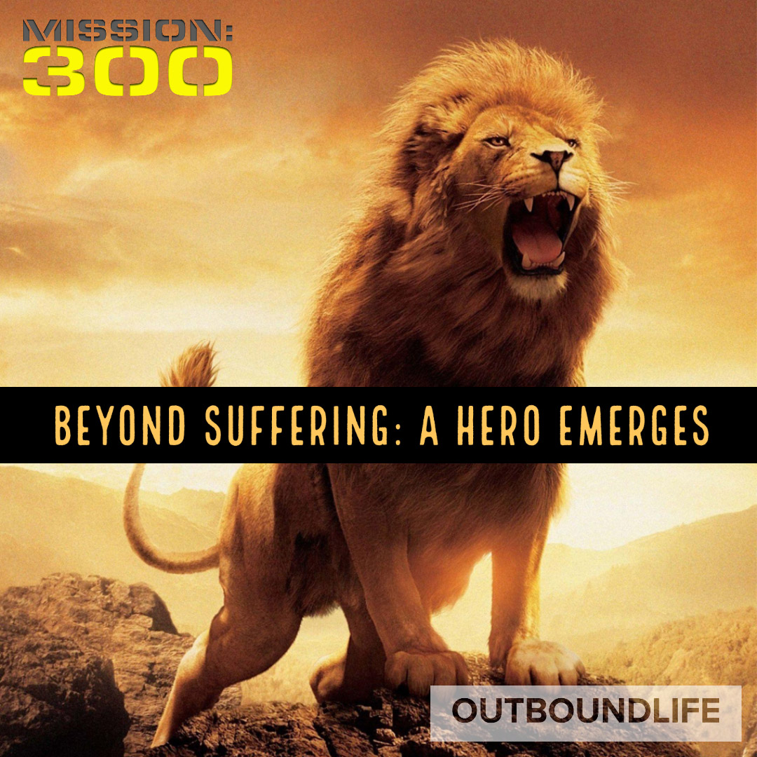 Beyond suffering - A hero emerges - Discussion